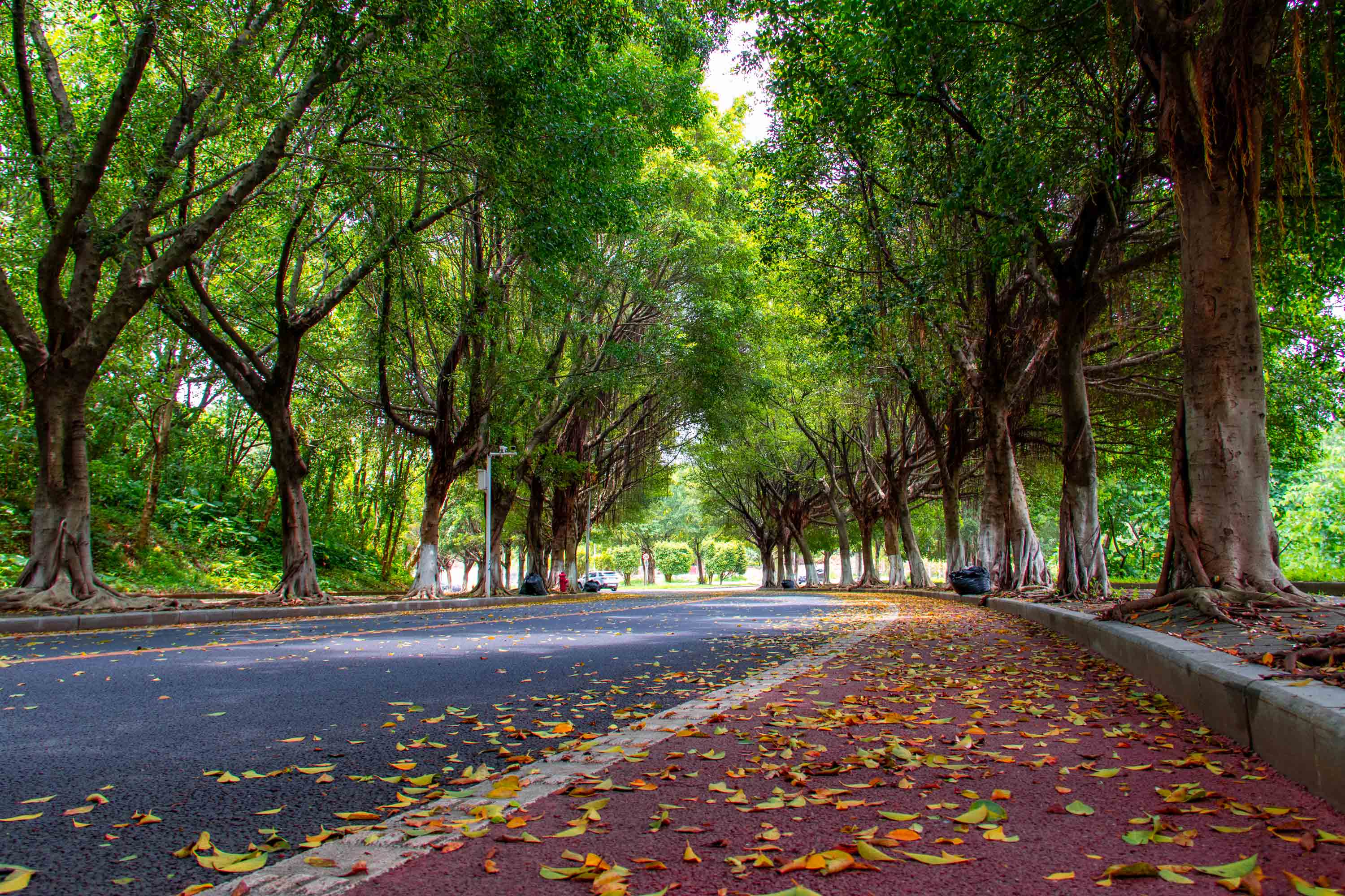 1624438580644318.jpg 5d121d5deff3f.jpg