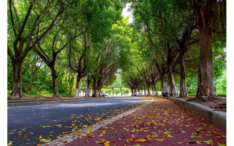 EPDM橡胶颗粒介绍